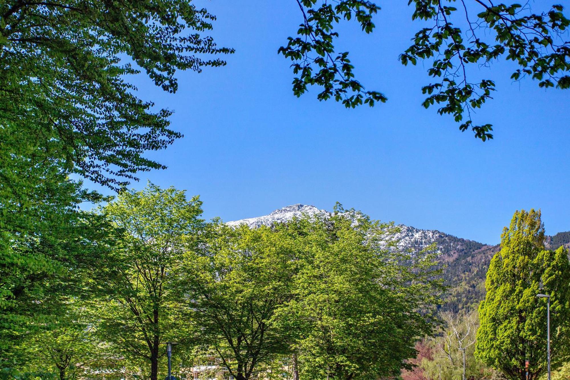 The View Apartment Bad Reichenhall Luaran gambar